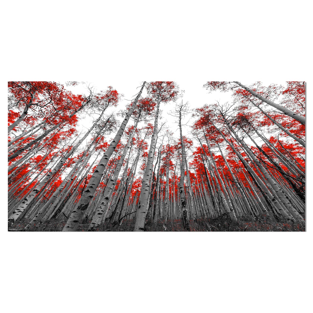 Designart - Red Leaf Trees in Tall Forest - Floral Landscapes Photographic on wrapped Canvas